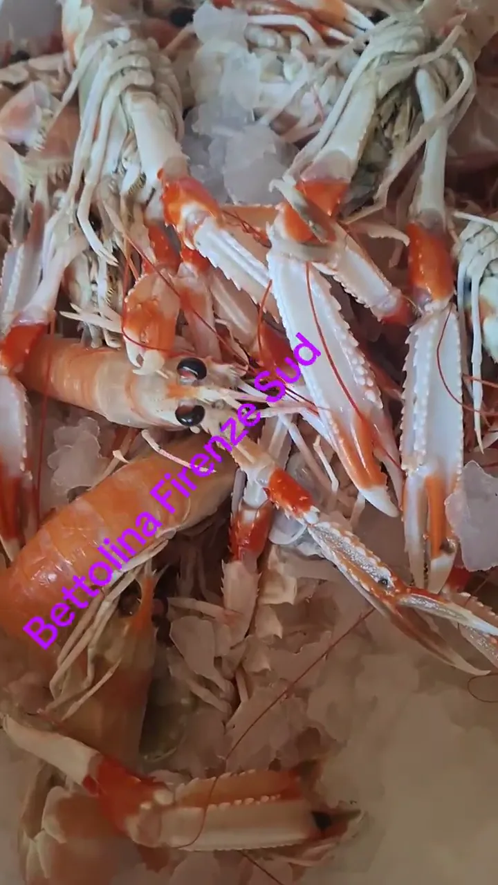 Video del servizio in cucina 8